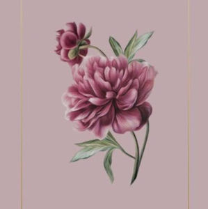 Meet your Posher, Vladislava